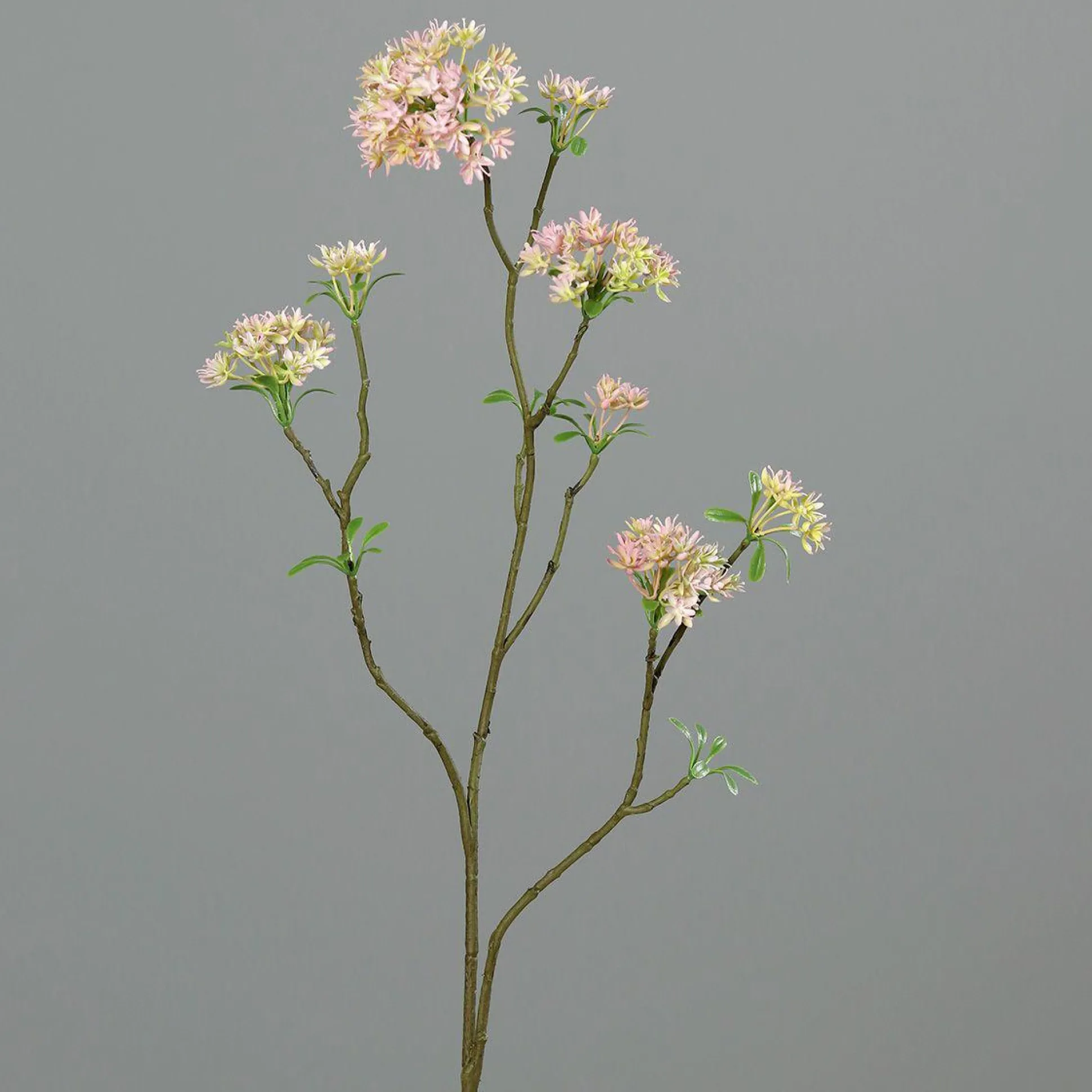 Kunstblume Bowardienzweig