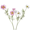 Kunstblume COSMEA