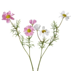Kunstblume COSMEA