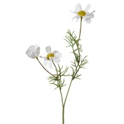 Kunstblume COSMEA
