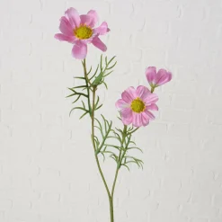 Kunstblume COSMEA
