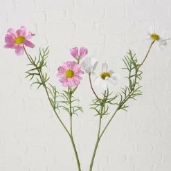 Kunstblume COSMEA