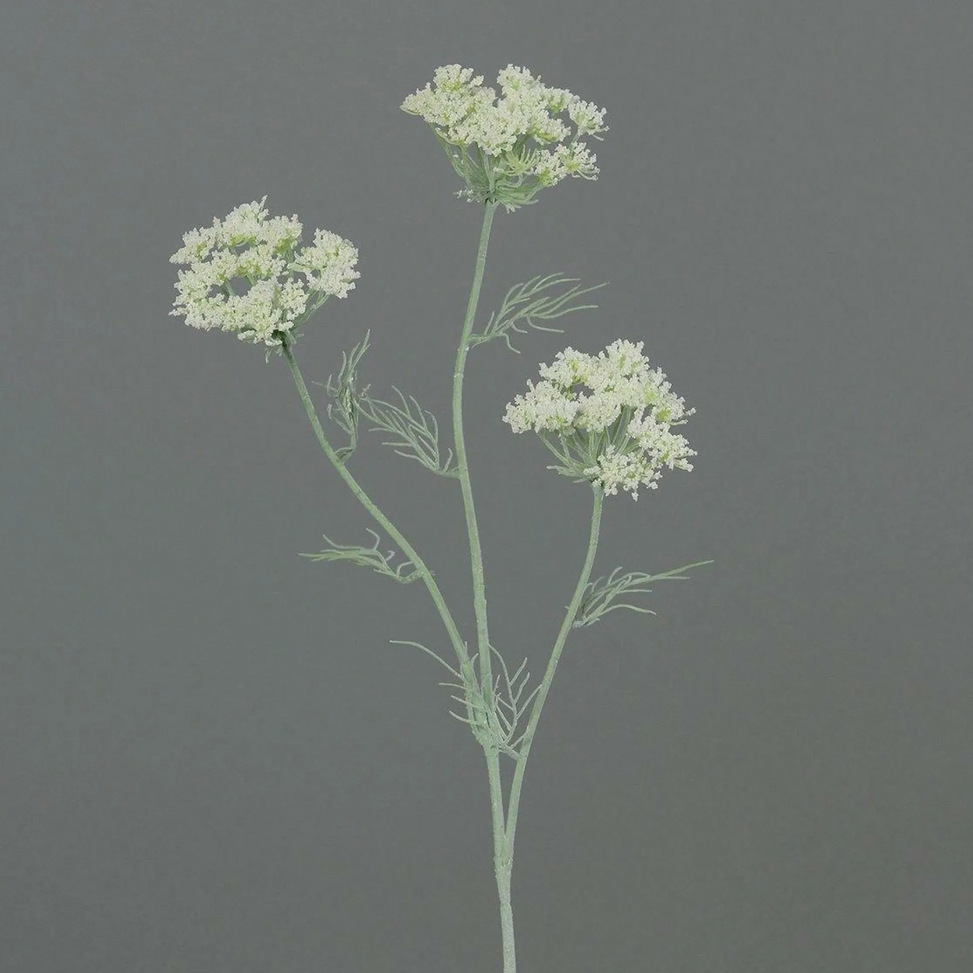 Kunstblume Dillzweig