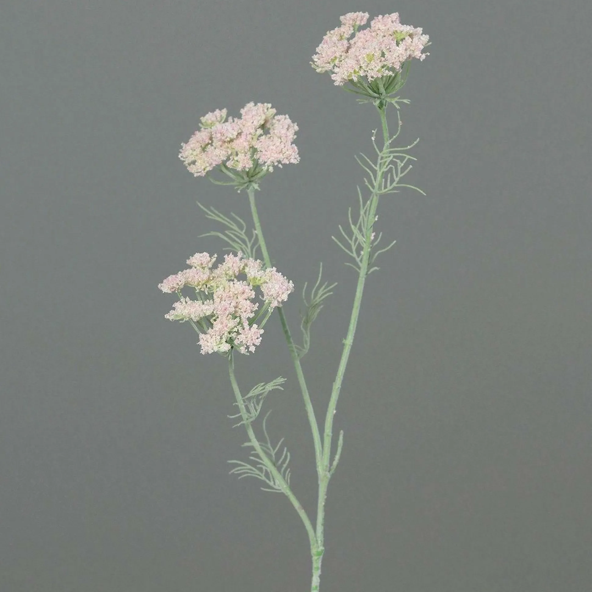 Kunstblume Dillzweig