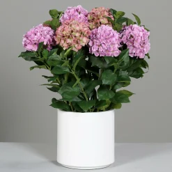 Kunstblume Hortensien-Arrangem
