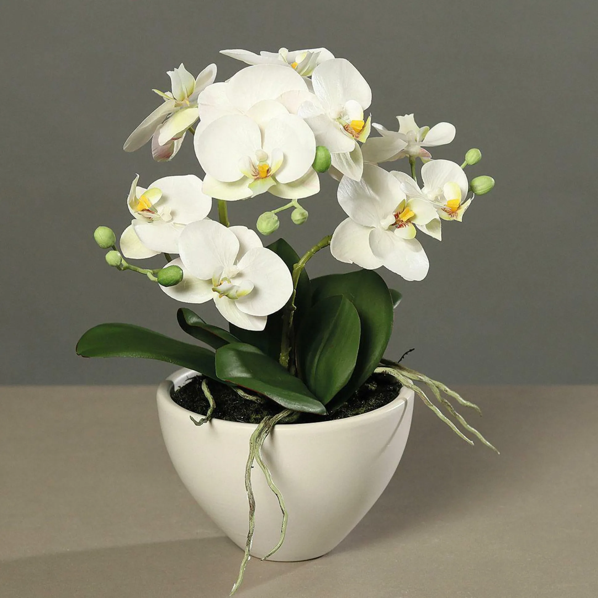 Kunstblume Orchidee