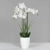 Kunstblume Orchidee