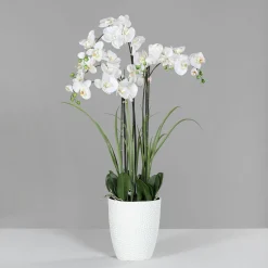 Kunstblume Orchidee