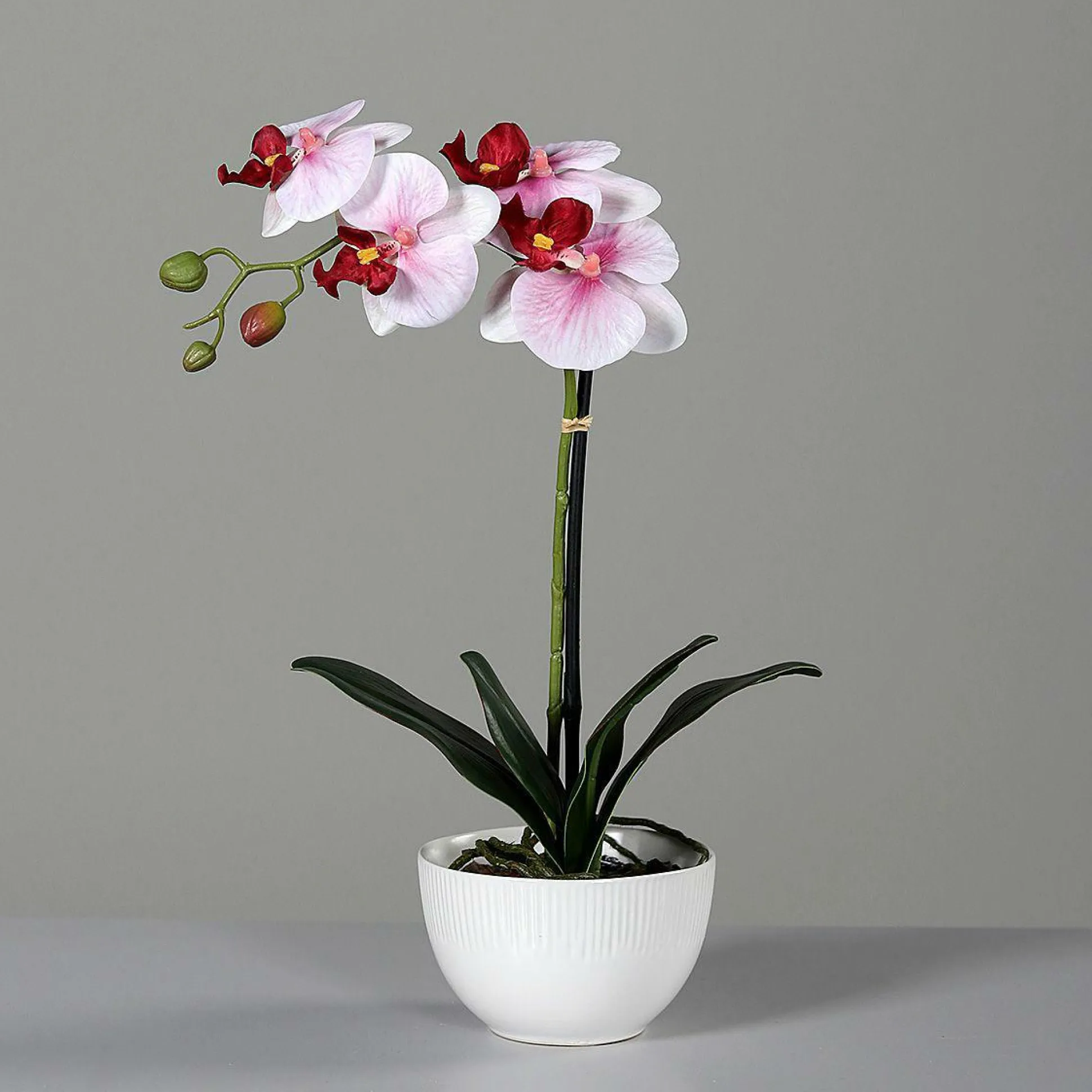 Kunstblume Orchidee