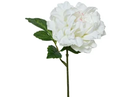 Kunstblume PFINGSTROSE