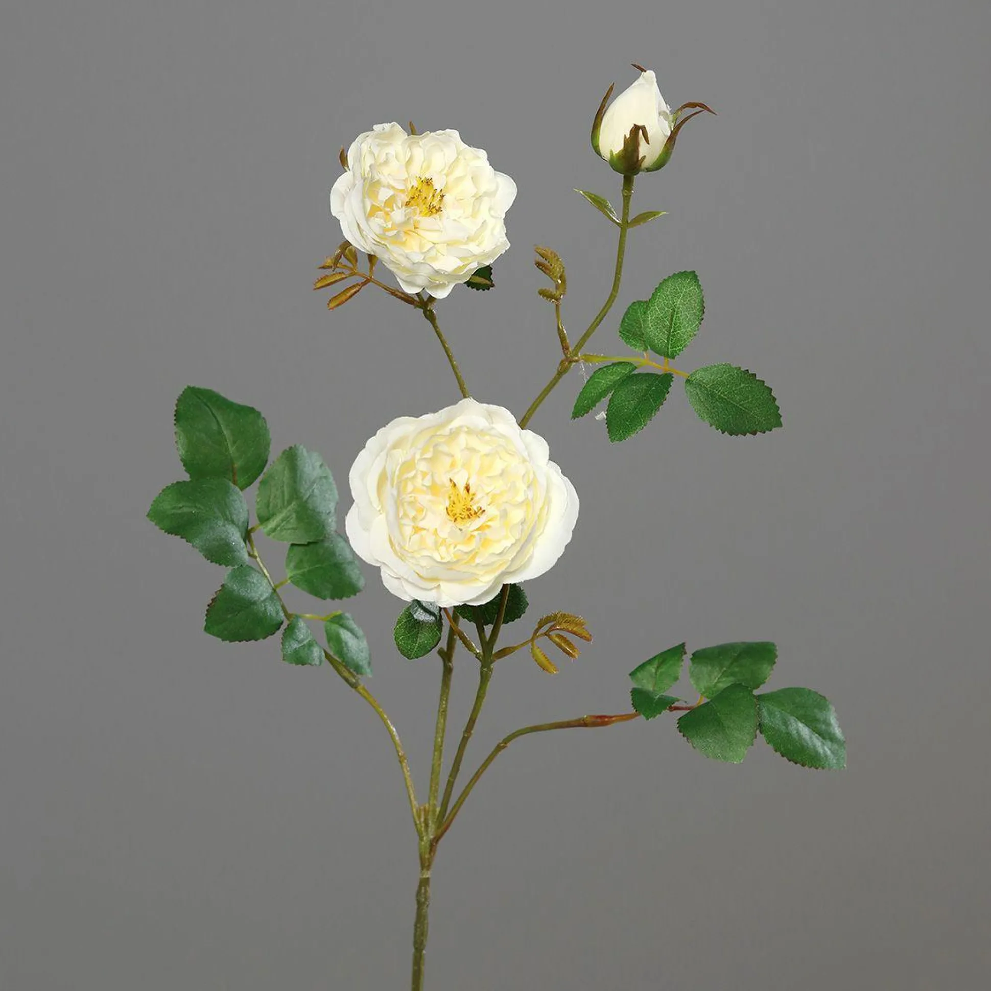 Kunstblume ROSENZWEIG