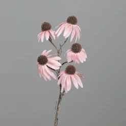 Kunstblume Sonnenhut