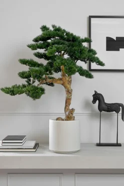 Kunstpflanze Kiefer-Bonsai