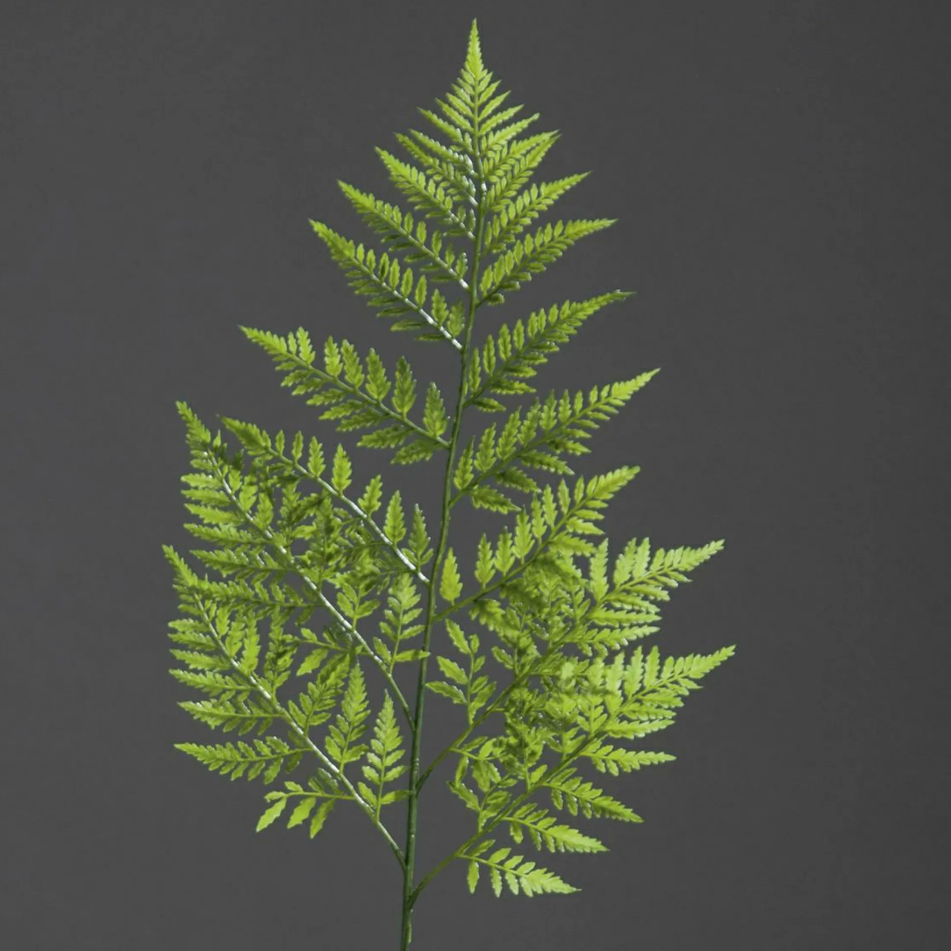 Kunstpflanze Lederfarnzweig