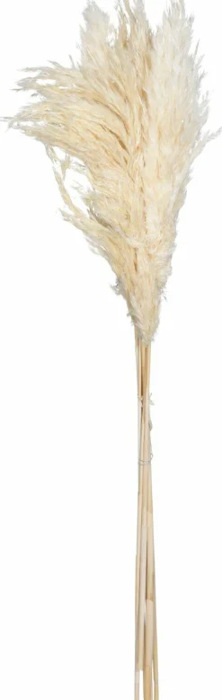 Kunstpflanze Pampasgras