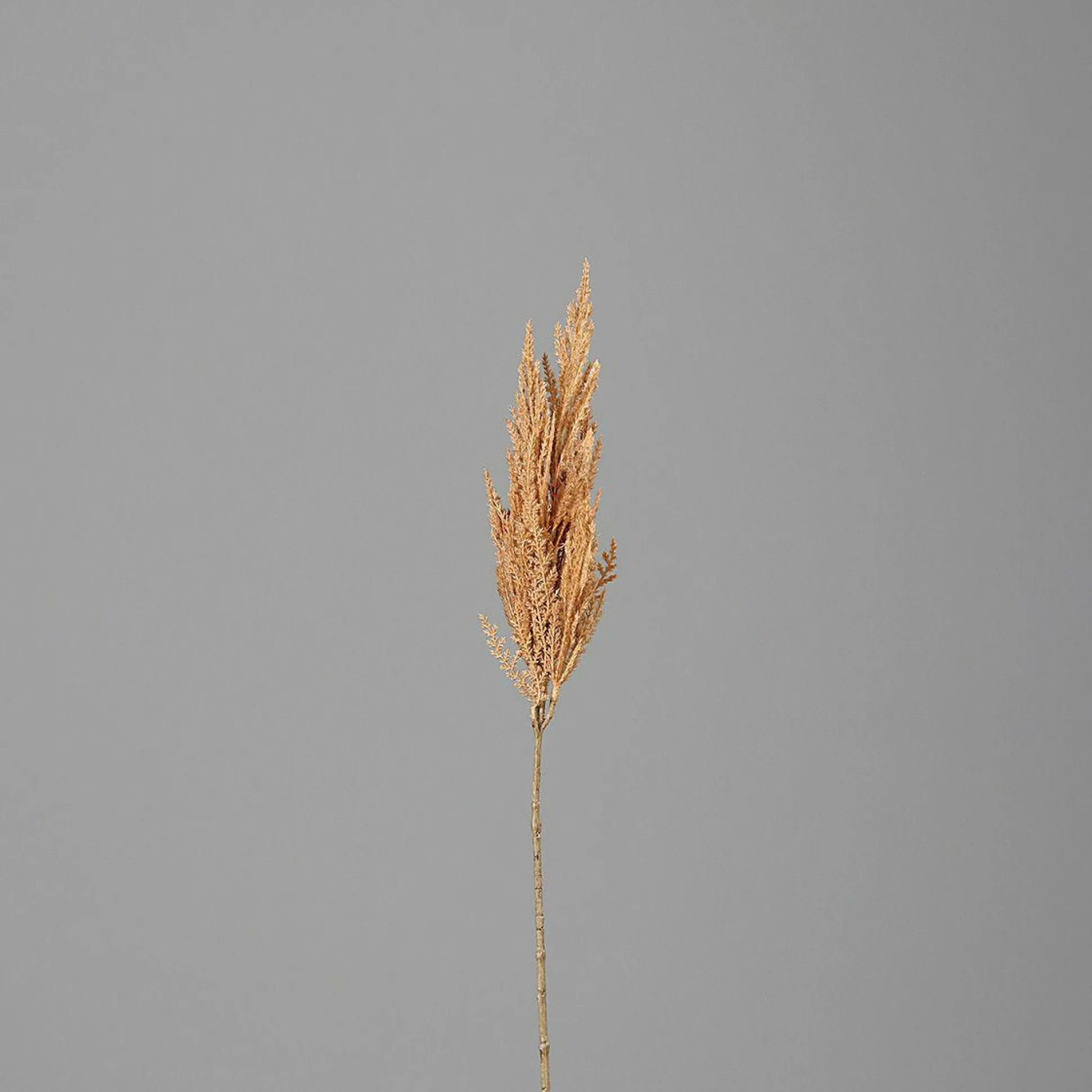 Kunstpflanze PAMPASWEDEL