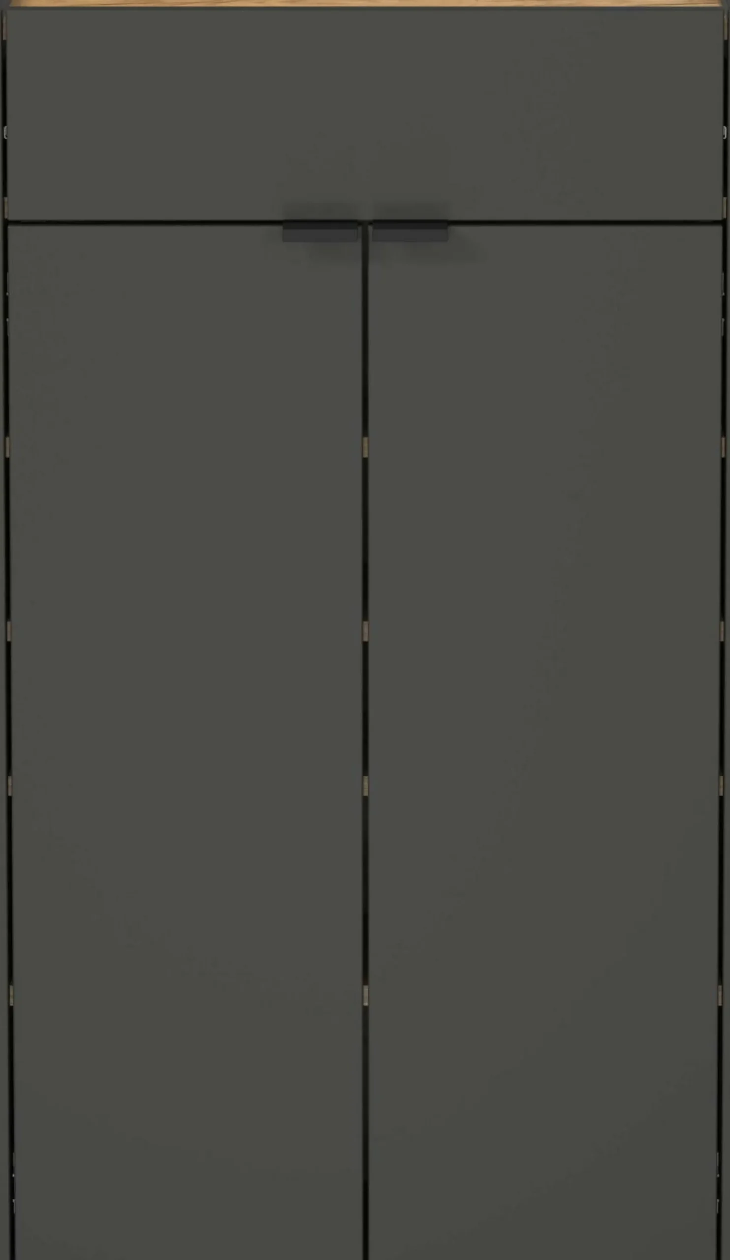 Mehrzweckschrank AMECA