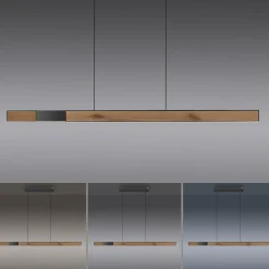 Pendelleuchte PURE MOTO-RISE