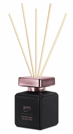 Raumduft ipuro TIME FOR PARTY