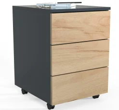 Rollcontainer DALOSA