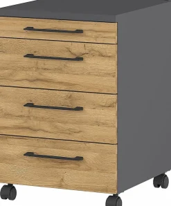 Rollcontainer PROFI 2.0