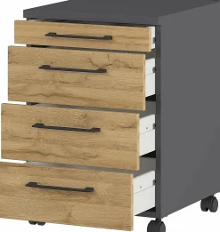 Rollcontainer PROFI 2.0