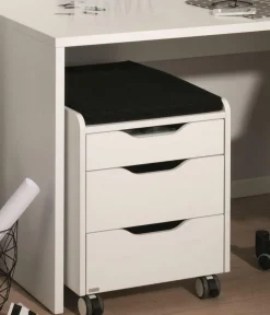 Rollcontainer 3S PAIDI