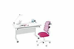 Schreibtisch PAIDI DIEGO 120