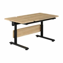 Schreibtisch PAIDI DIEGO BLACK