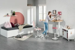 Schreibtisch PAIDI E-LION