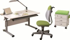 Schreibtisch PAIDI MARCO 2