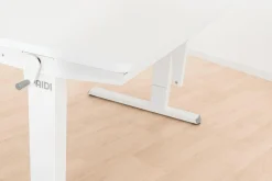 Schreibtisch PAIDI TEENIO 120