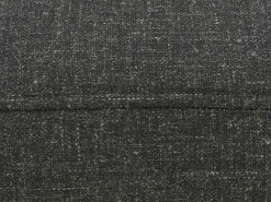 Sessel + Hocker ROLF BENZ 384