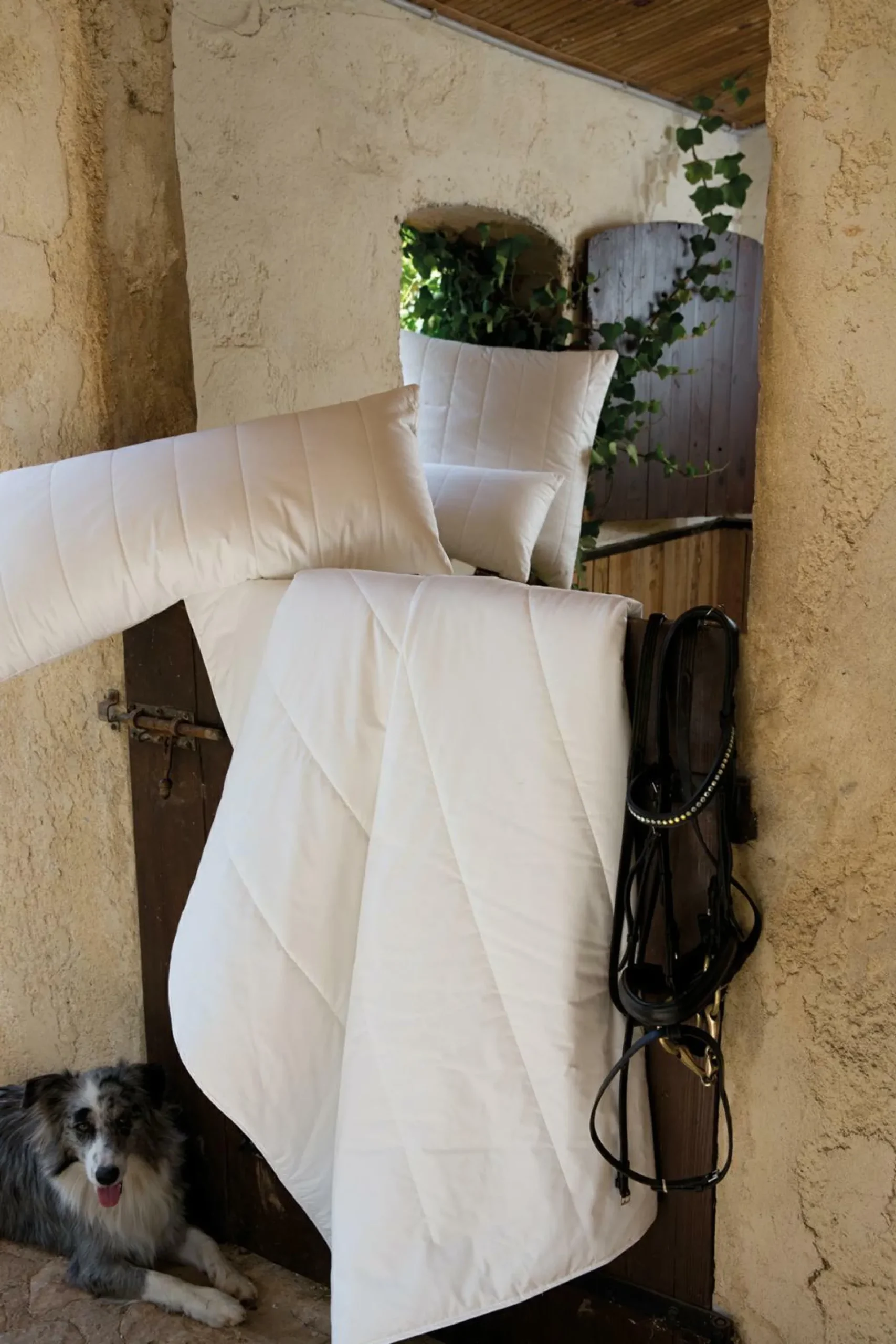 Sommerbett CENTA-STAR ORGANIC COTTON