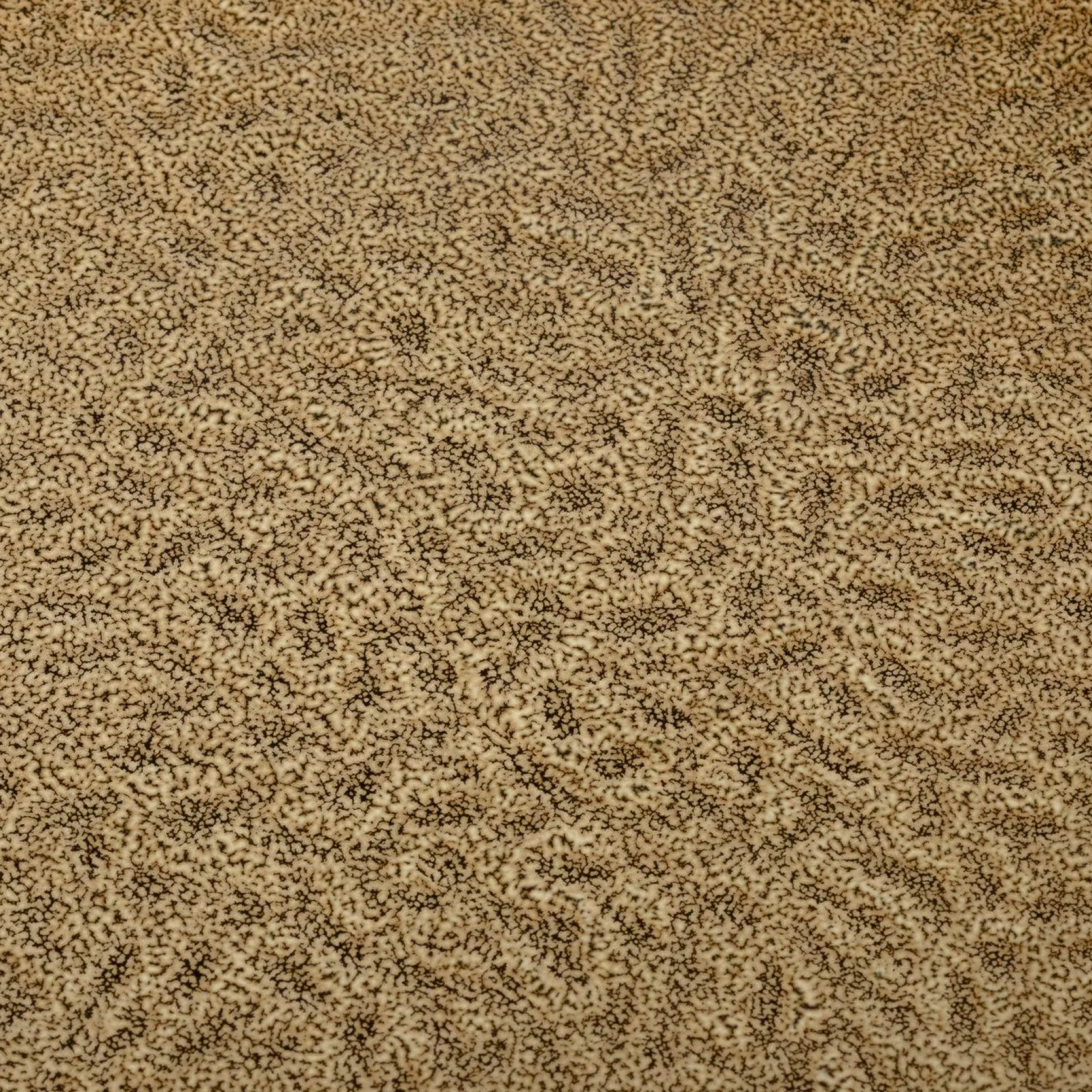 Speiseteller LEONARDO MATERA