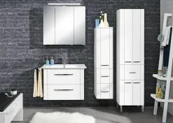 Spiegelschrank Aquarell 3006