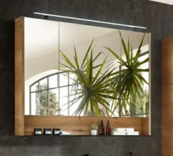 Spiegelschrank Aquarell BORDEAUX