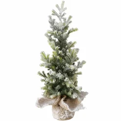 Tannenbaum