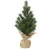 Tannenbaum