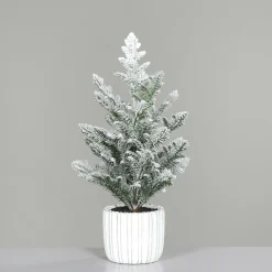 Tannenbaum