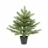 Tannenbaum GRANDIS