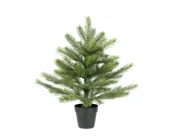 Tannenbaum GRANDIS