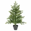 Tannenbaum GRANDIS