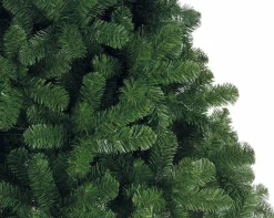 Tannenbaum IMPERIAL