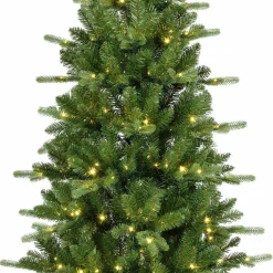 Tannenbaum KILLINGTON