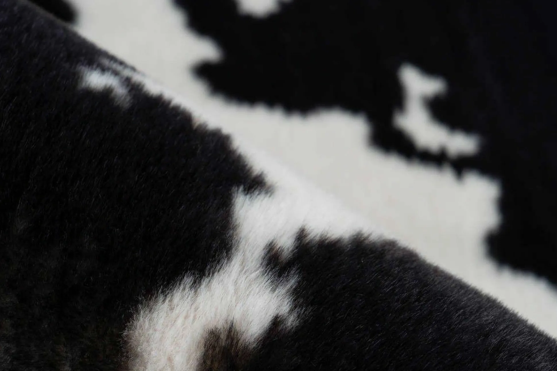 Teppich RABBIT ANIMAL