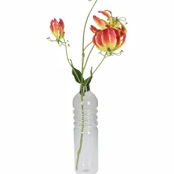 Vase BOTTLE