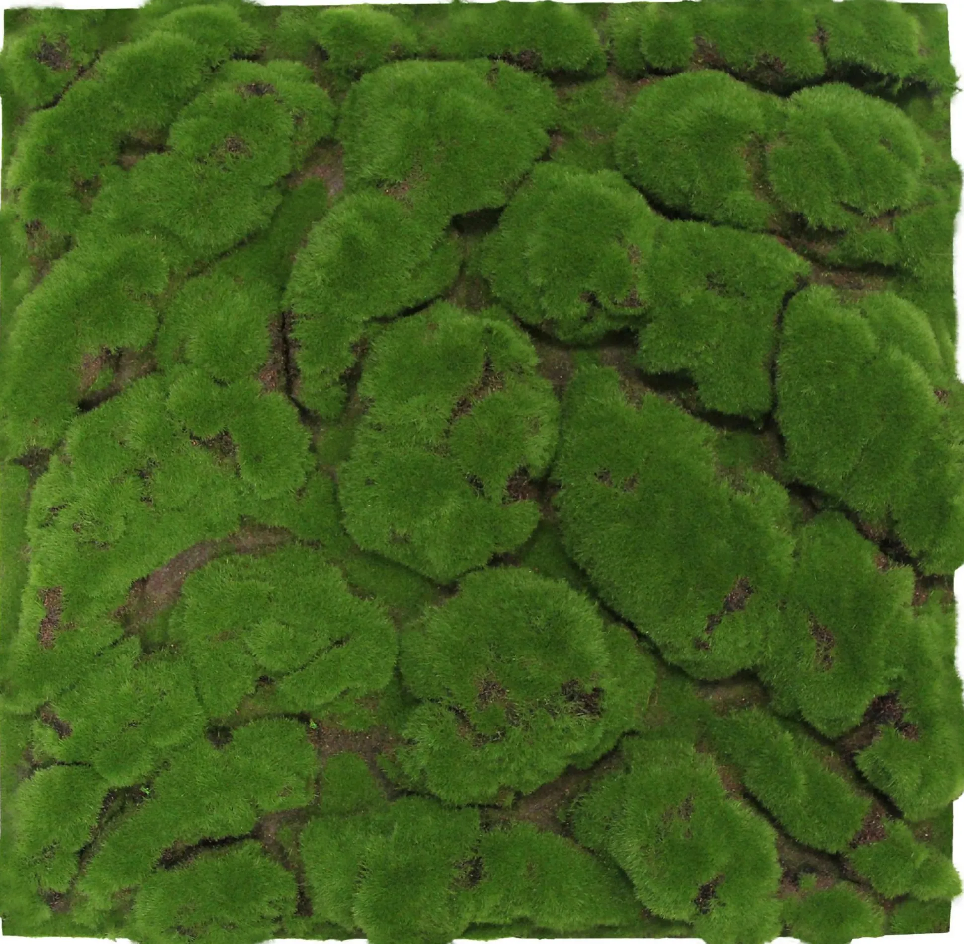 Wandpaneel MODULAR WALL