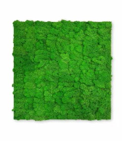 Wandpaneel MODULAR WALL