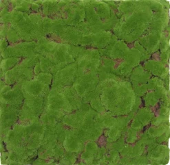 Wandpaneel MODULAR WALL